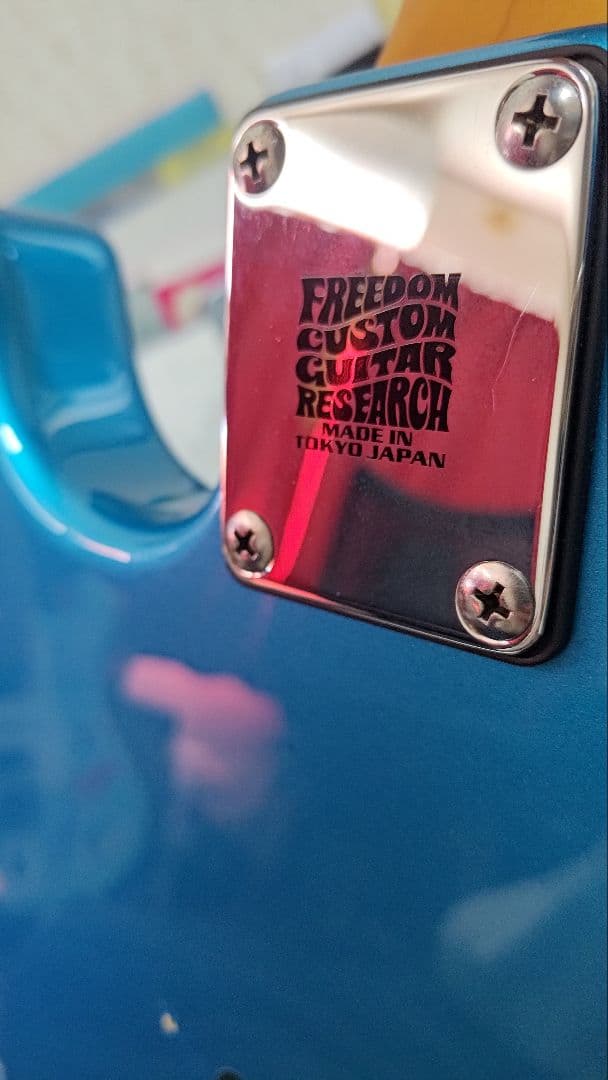 Bacchus BST-350(Suhr PU等、大幅カスタム済み)