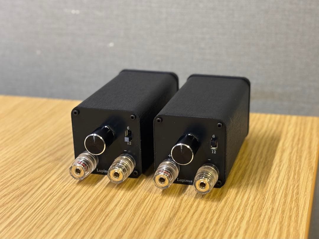 新モデル Lupinus Audio AMT-TP3ブラック スーパーツイーター