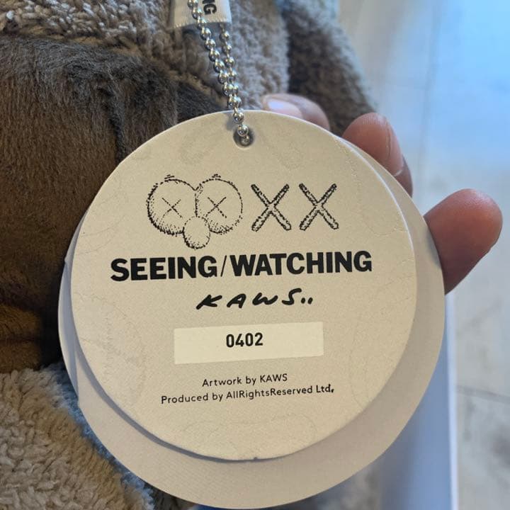 kaws seeing watching 大小セット