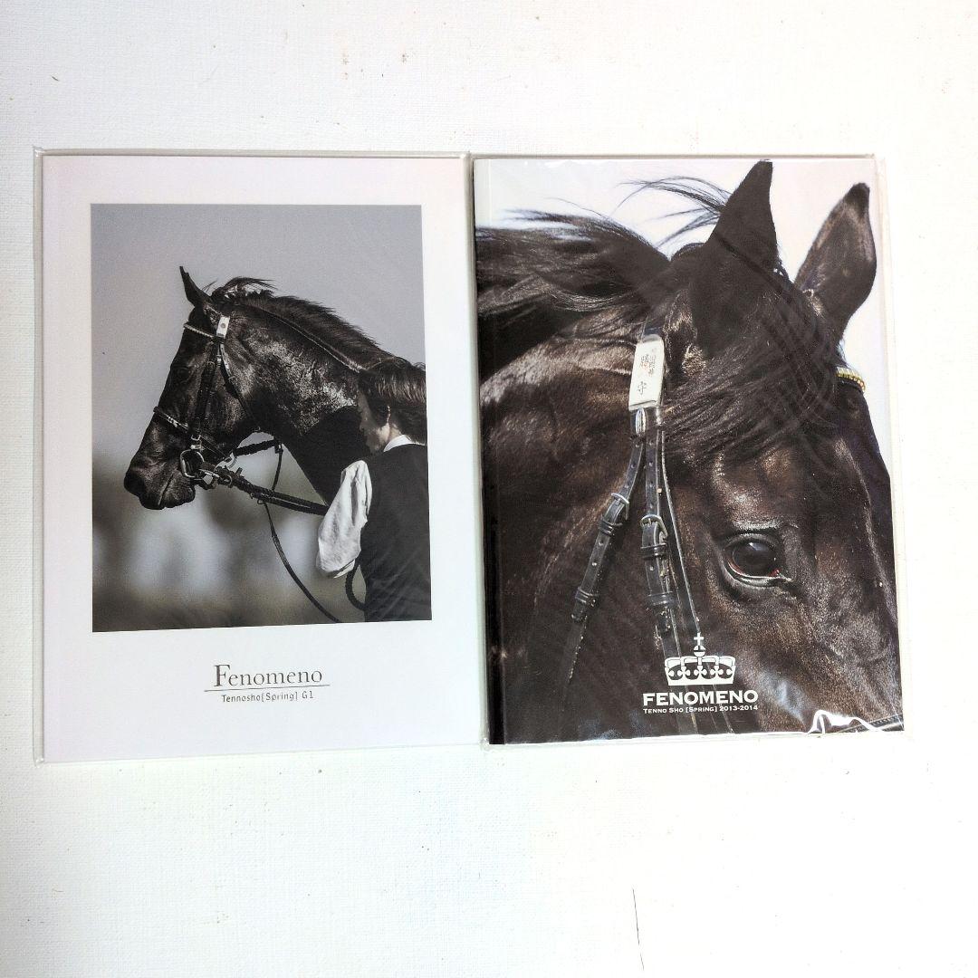 フェノーメノ非売品フォトブック2冊セット 楽天市場】[コクヨ] 5冊セット フォトアルバム ノビータ 240枚 A4