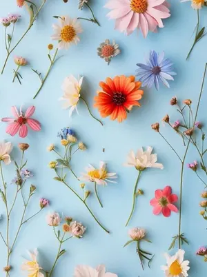 純正・正規品】KYOCERA 京セラ TK-591トナー ブラック シアン - メルカリ