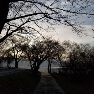 ZIPP 808 NSW TL 2021 リム リア 11S 新品 未使用 - メルカリ