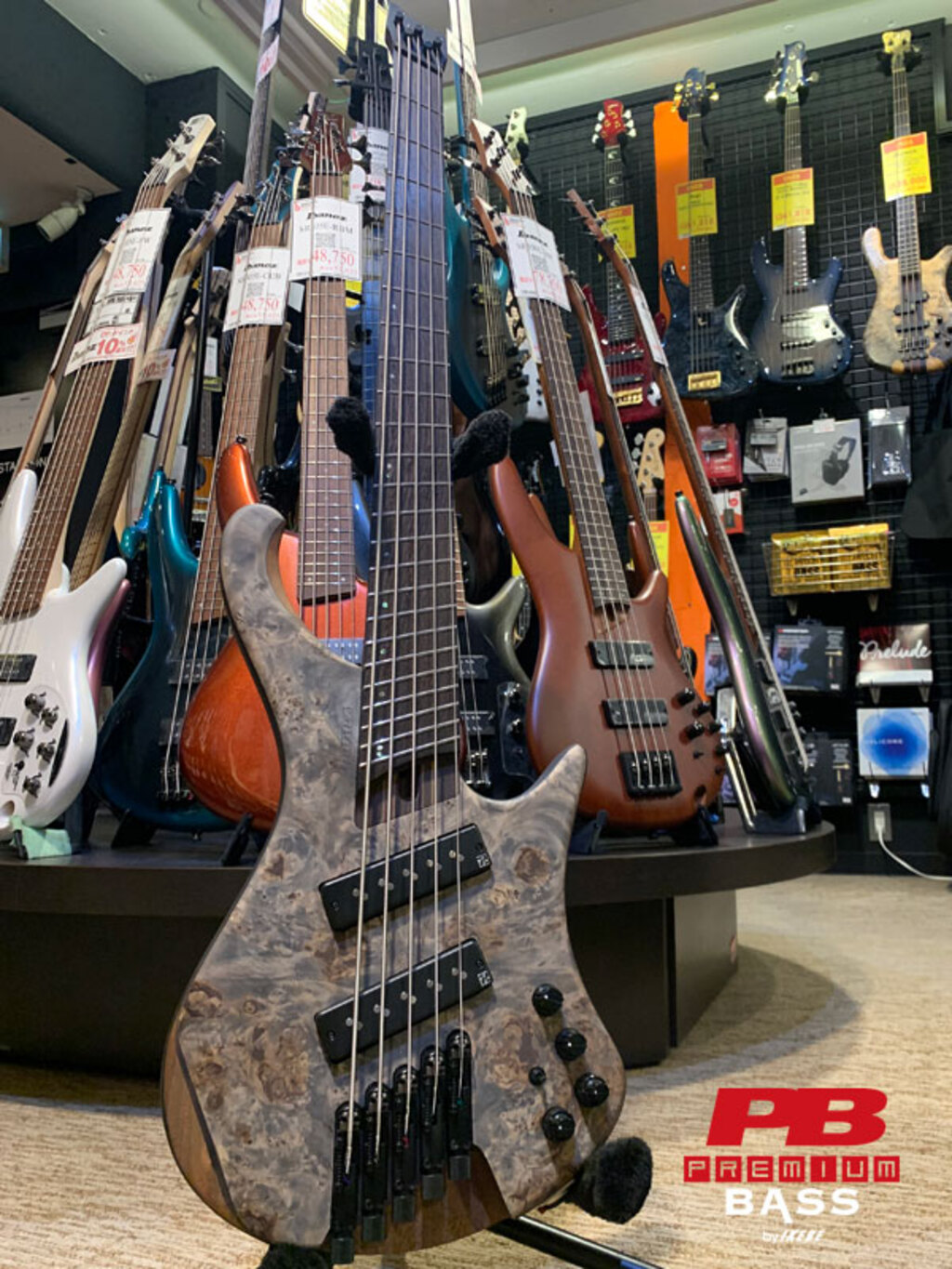 Ibanez Bass Workshop EHB1505MS-PLF [マルチスケール採用モデル]2023