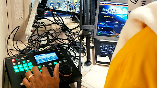 Roland Pro A/V - P-20HD | Video Instant Replayer