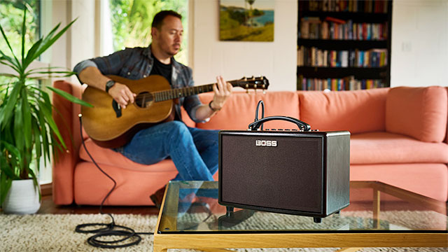 BOSS - AD-10 | Acoustic Preamp