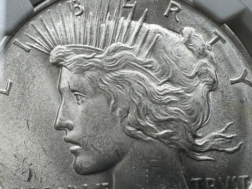 アメリカ ピースダラー銀貨1922 NGC MS 64 | GoldSilverJapan