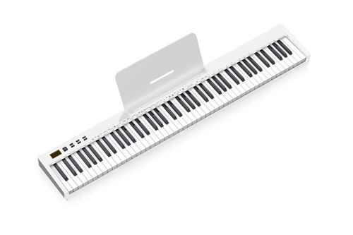 SWAN-S 白 | NikoMaku