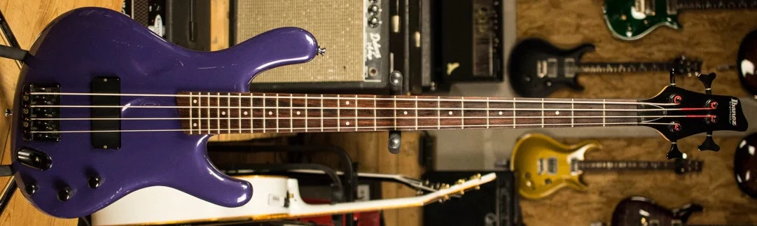 EDB350 | Ibanez Wiki | Fandom