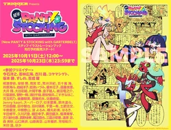 NEW PANTY & STOCKING with GARTERBELT Staff Illustration book