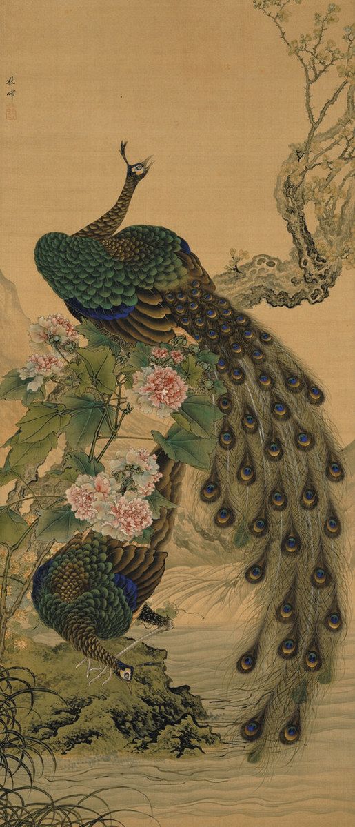 精緻華麗なクジャク絵の名手・岡本秋暉の生涯 花鳥画中心に100点で