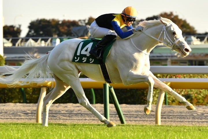 アイドルホース、ソダシは白毛馬として史上初のGⅠ制覇達成なるか