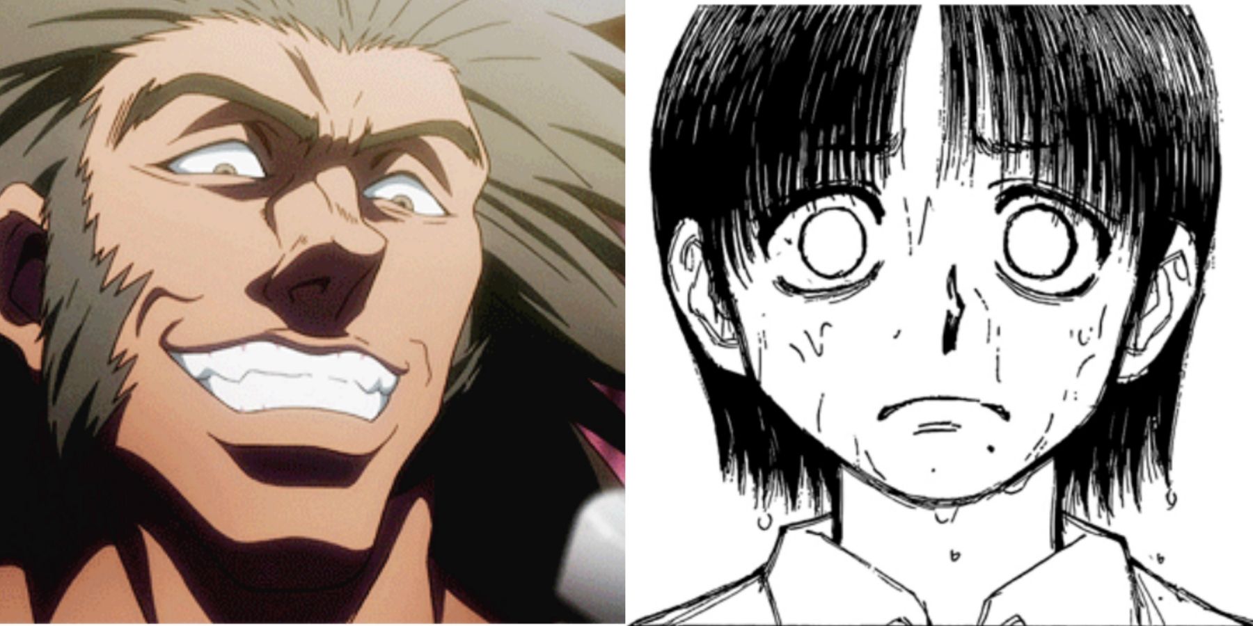 Hunter X Hunter 397: The Spider Reborn