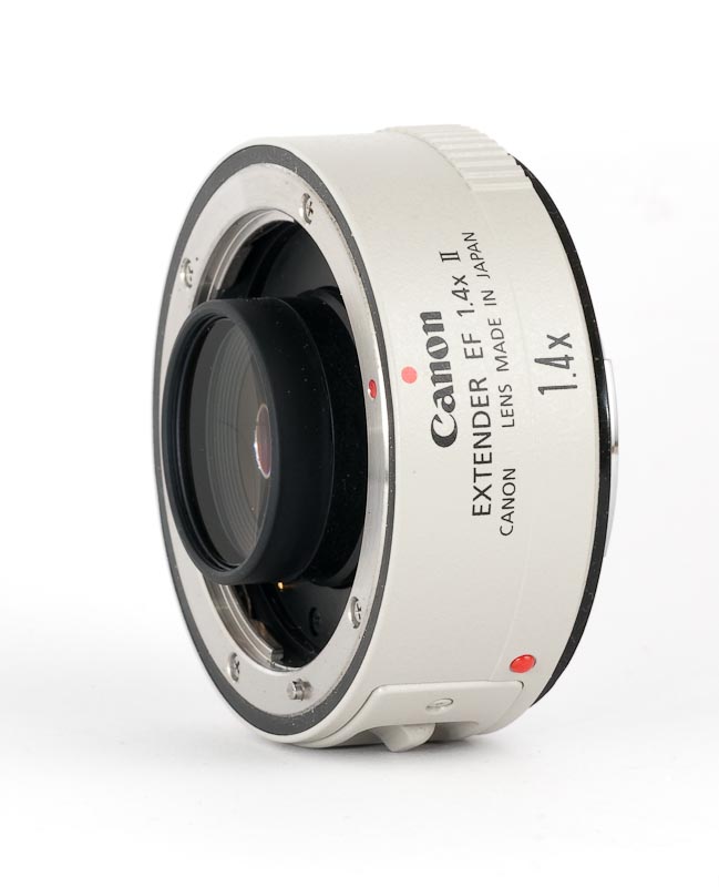 Canon Extender EF 1.4x II Review • Points in Focus Photography