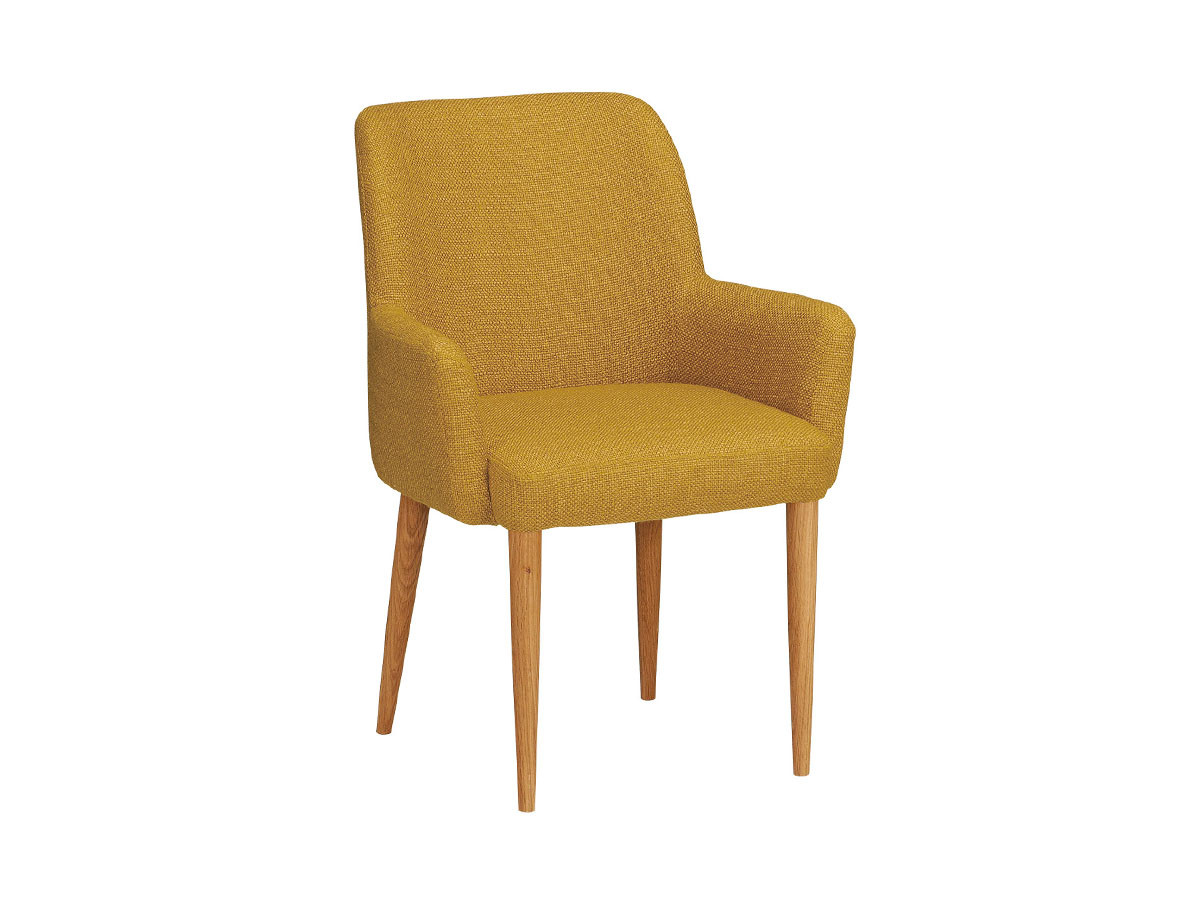 IDEE LIEVRE ARM CHAIR / イデー リエーヴル アームチェア