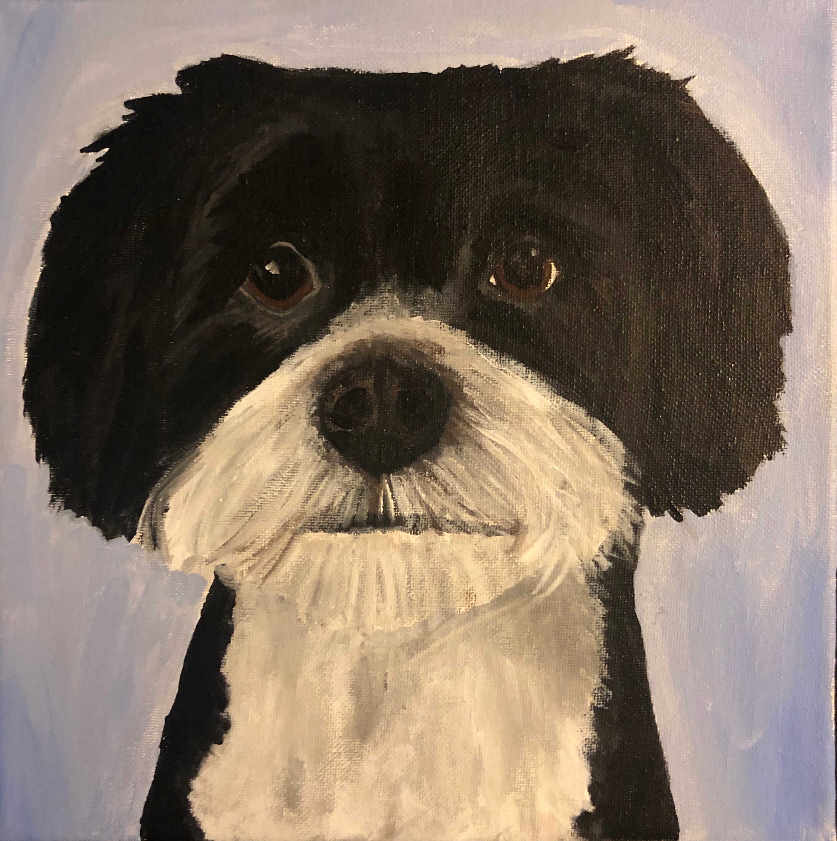 Custom Pet Portrait 8