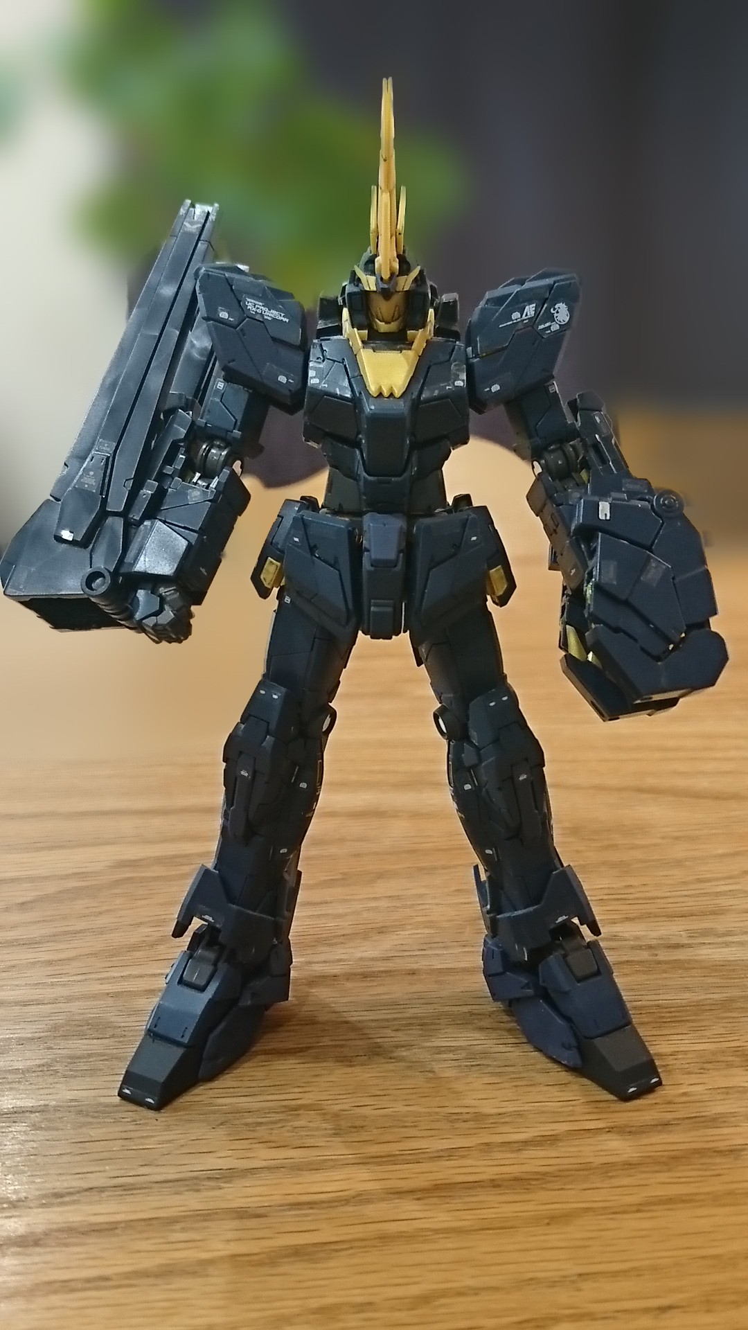 RG バンシィ 拡張ユニット アームド・アーマーVN/BS レビュー | 星と月