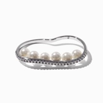 ring2.jpg?d=20240826002442