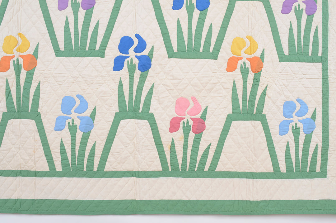Mountain Mist Iris Quilt | Circa 1930's | Pennsylvania