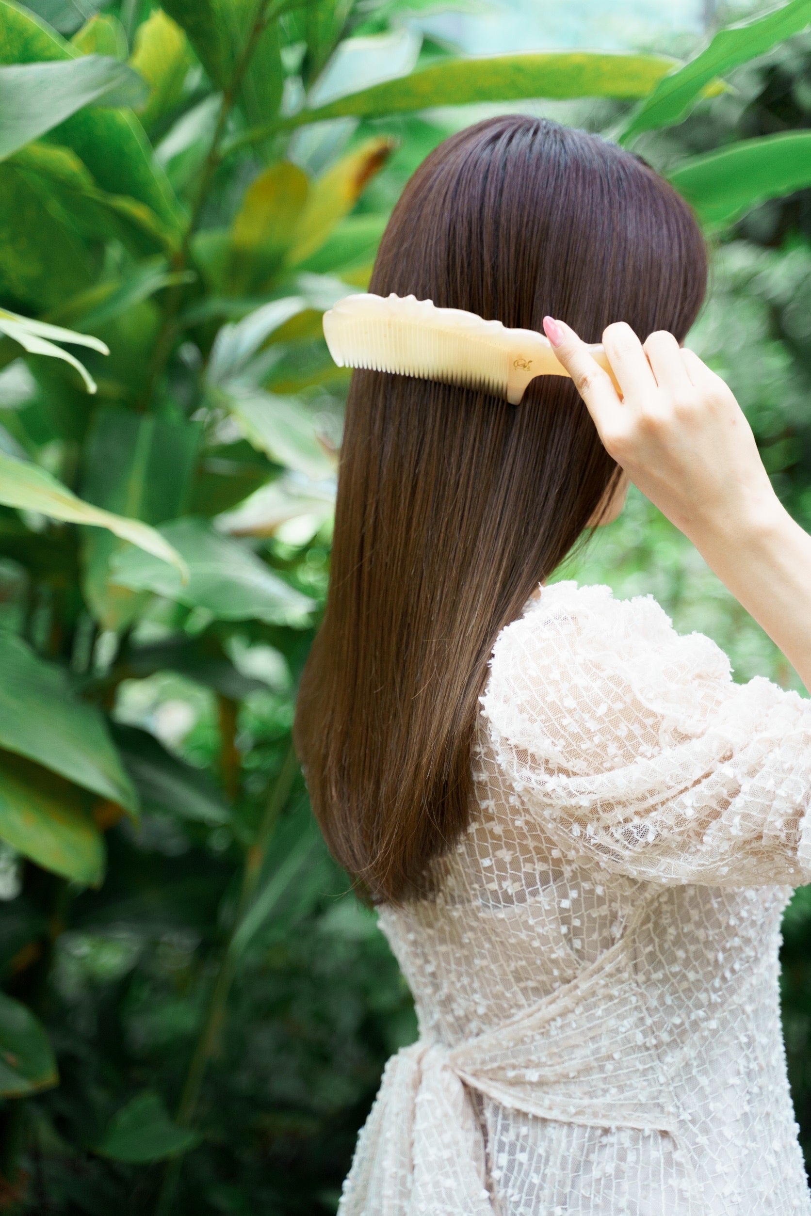 Pocket Lily -Yellow-