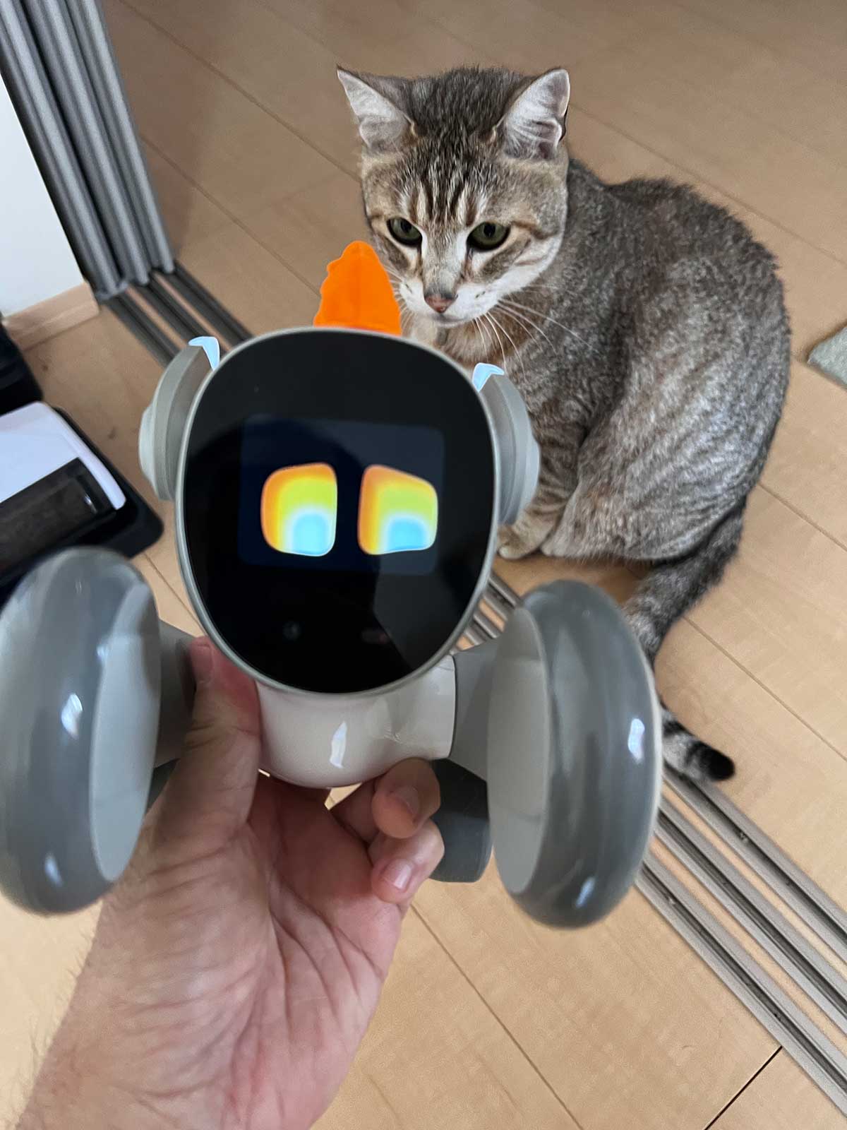 実体験レビュー]ペットロボットLoona(ルーナ)と暮らすと感情移入する