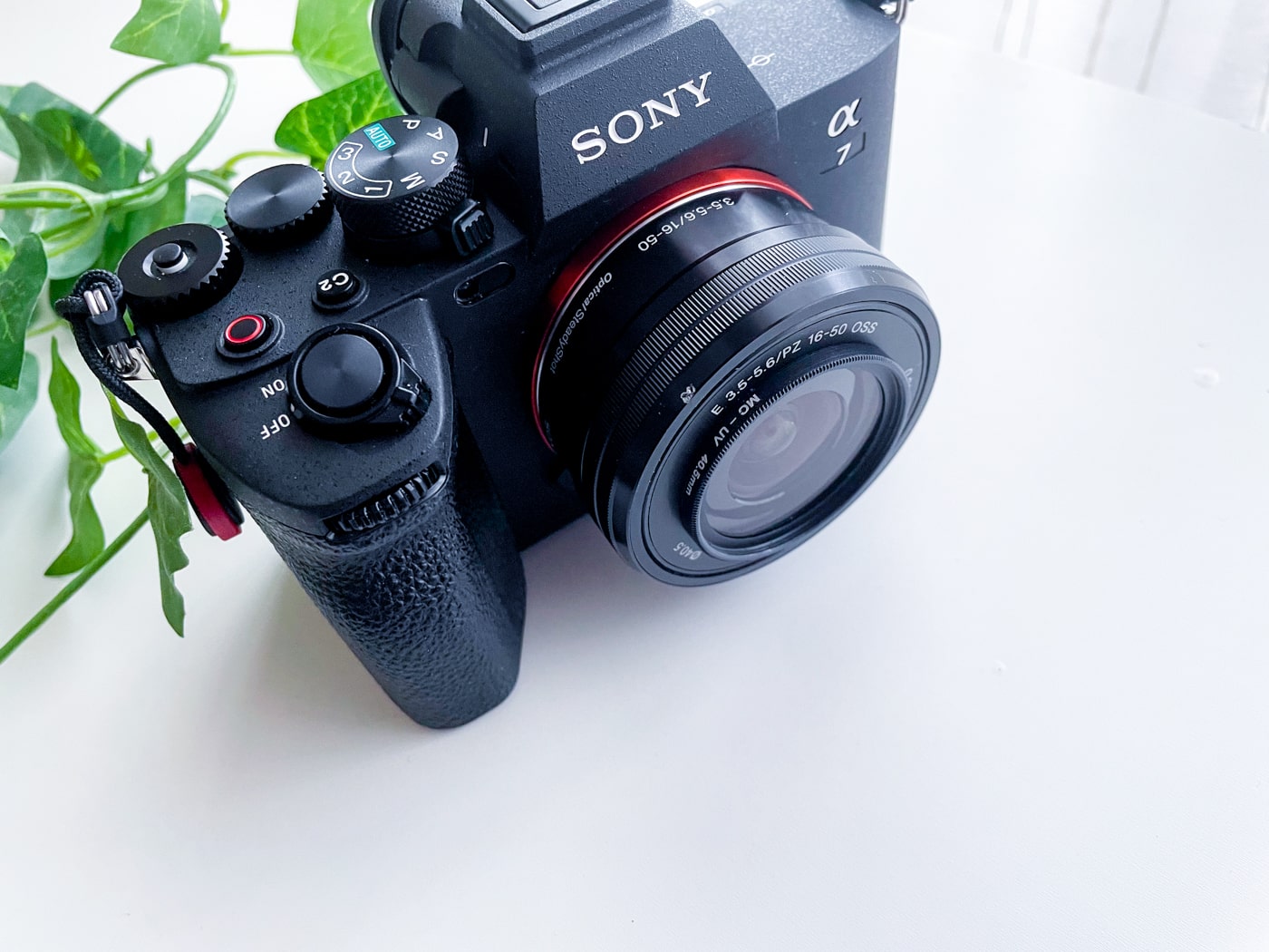 レビュー】SONY E PZ 16-50mm F3.5-5.6 OSS（APS-C）標準ズームレンズ