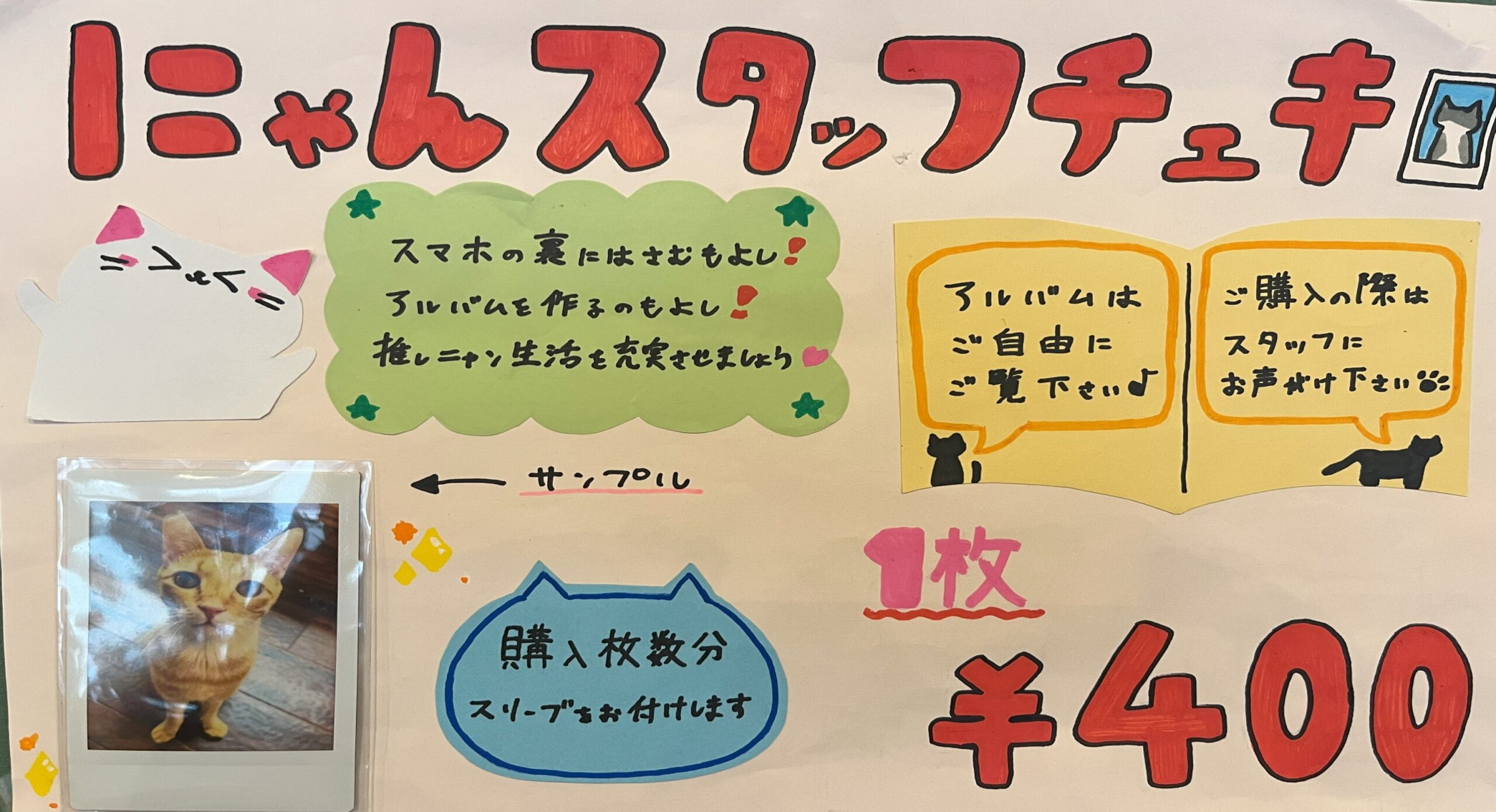 ニャンスタッフ チェキ販売中 | 寝屋川 ほごねこカフェ SU_NYAN（すー