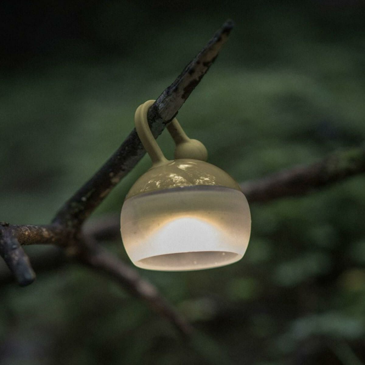 snow peak スノーピーク たねほおずき｜SUNDAY MOUNTAIN｜サンデー