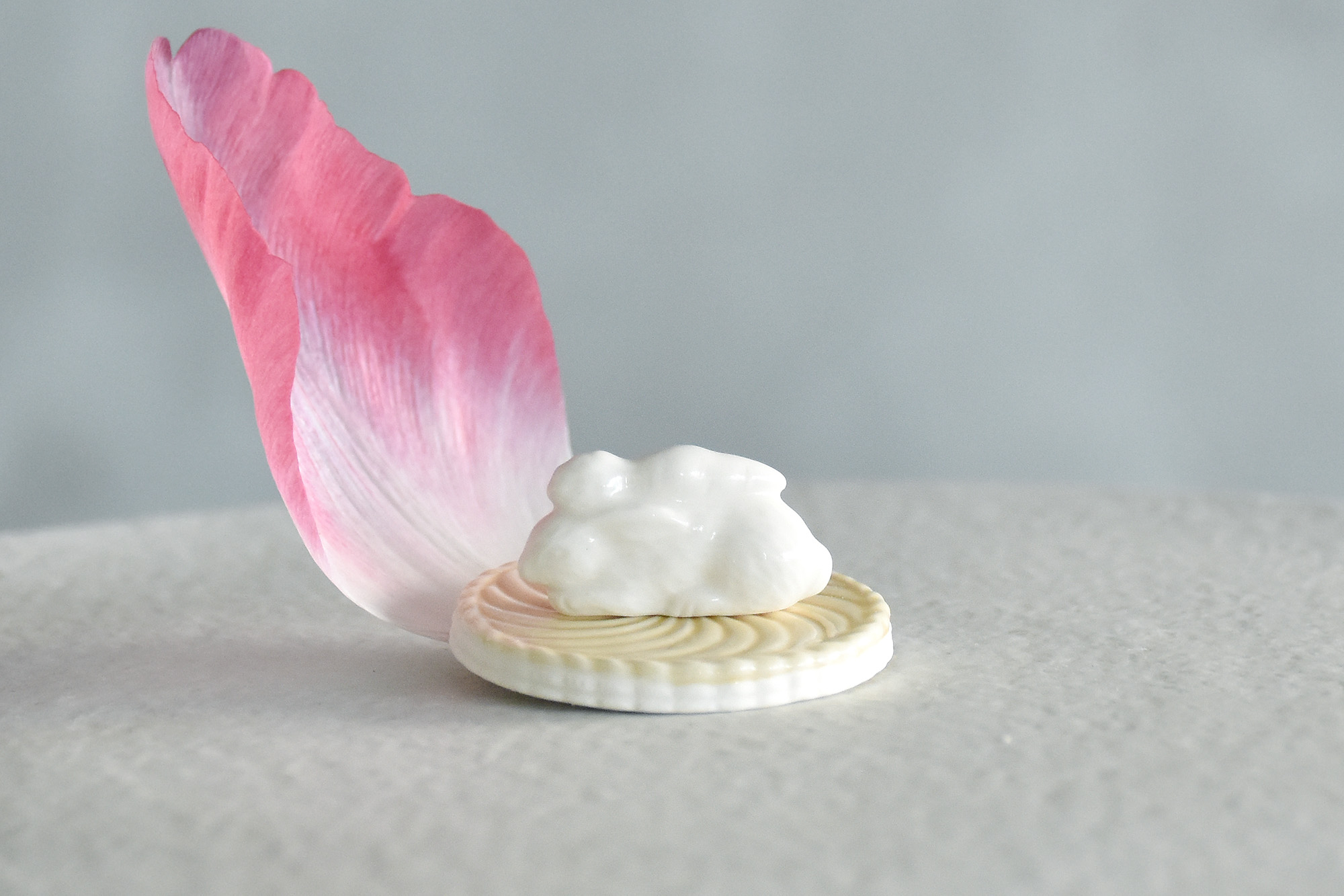 干支うさぎフェーヴセット ：misaki takeuchi 〈1/21〜〉 | SUNNY