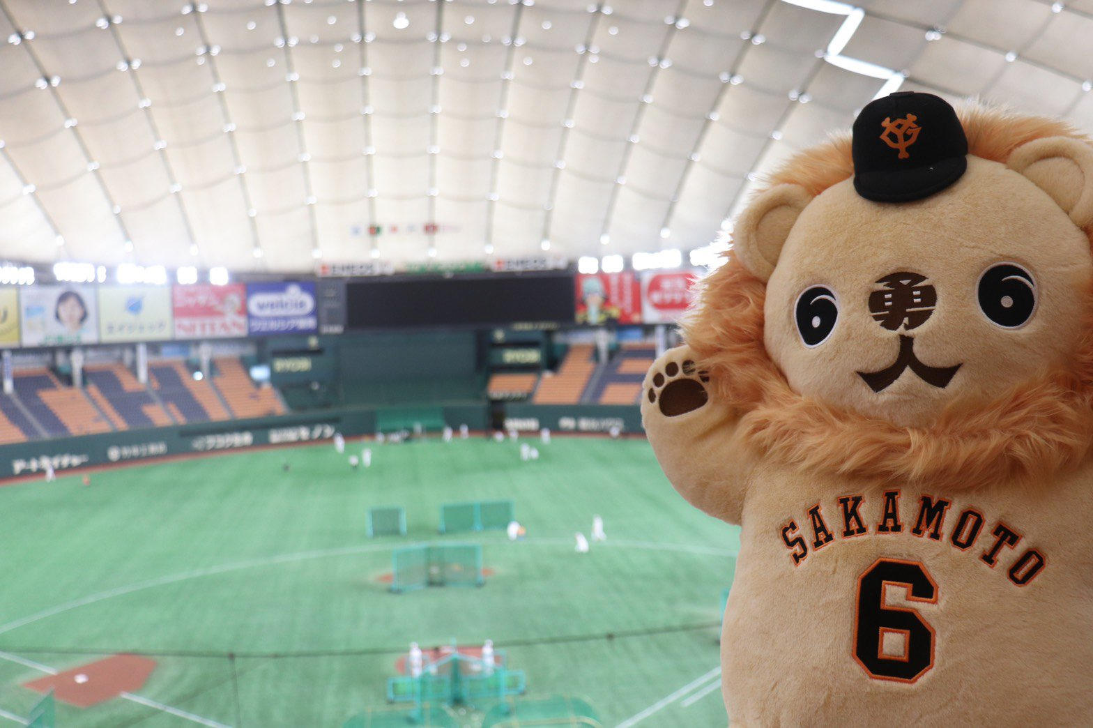 ぬいぐるみ＋特別紙面への名前掲載＋パウチ加工の新聞紙面 - (【読売