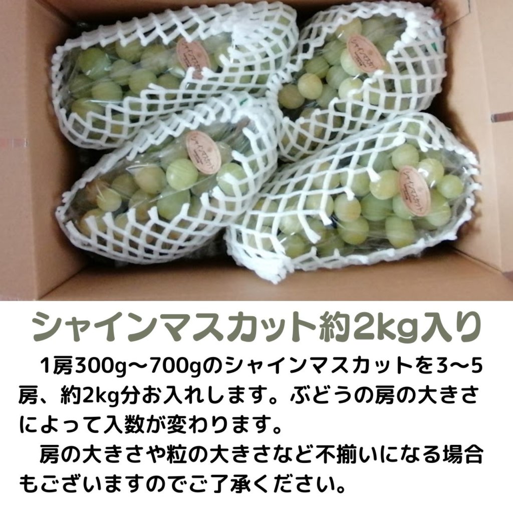 シャインマスカット 約2kg 3～5房入り 税込4250円 | 親バカトマト 助川
