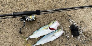 青物】万能シーバスロッド10選！堤防・サーフのショアジギングに使い