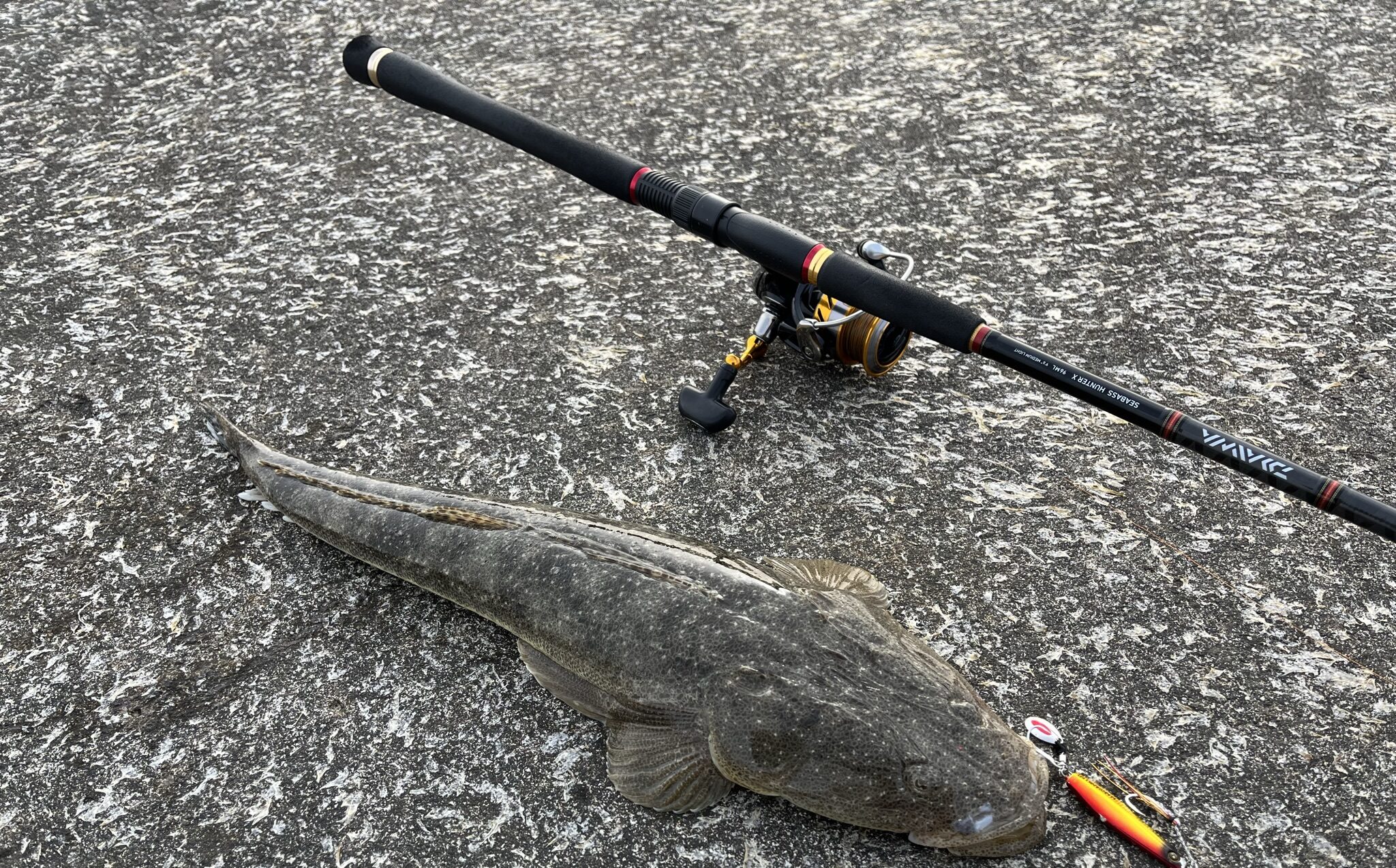 ダイワ】シーバスハンターXは1万円台で買える高性能・万能ロッド