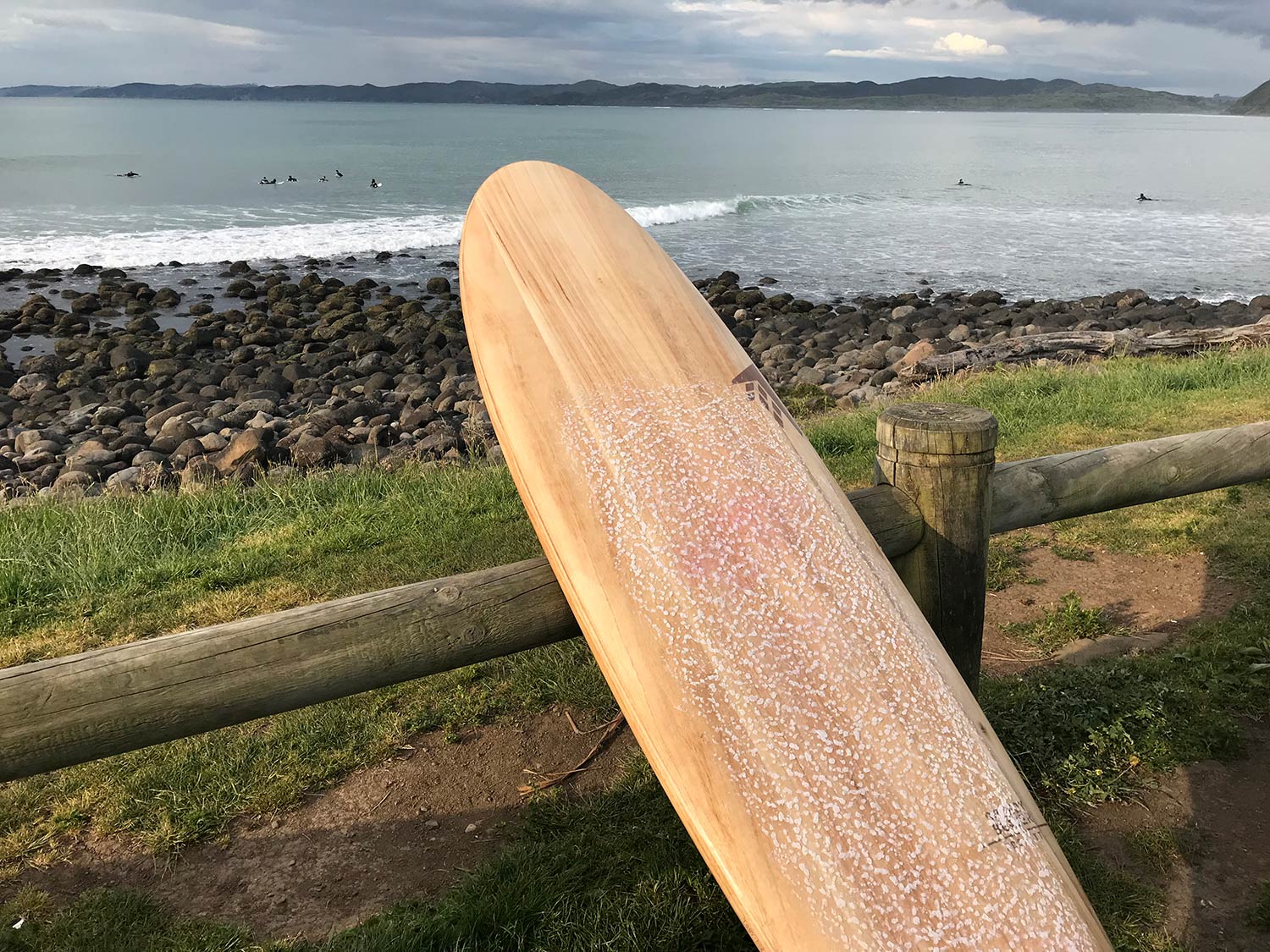 Review: Firewire Greedy Beaver - Surfd