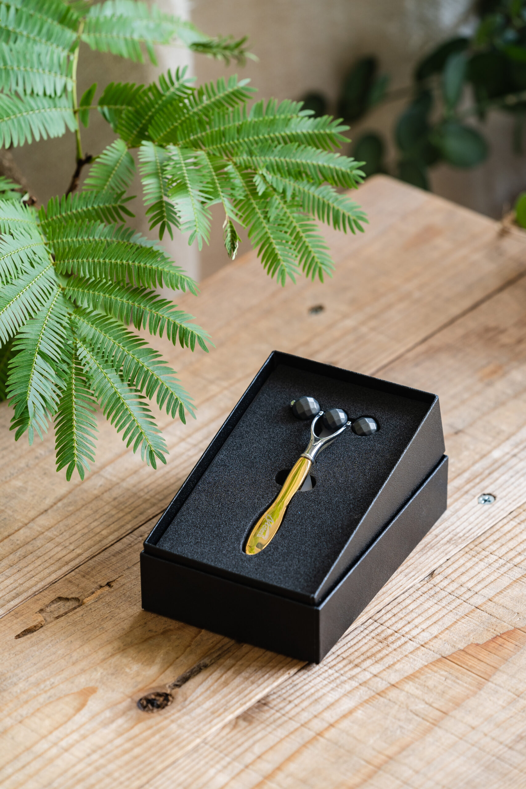 隕石美顔ローラー・メテラ