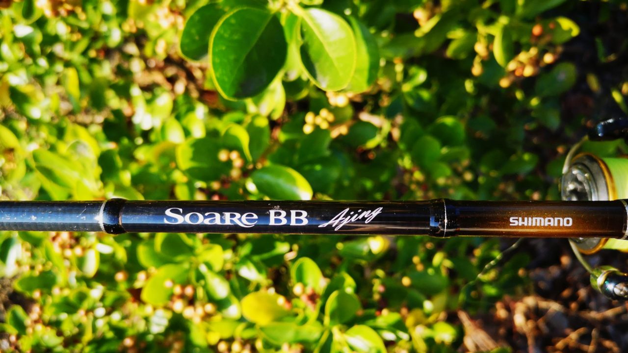 ソアレBBアジングS610LS本気インプレ！アジングだけじゃない、超名作