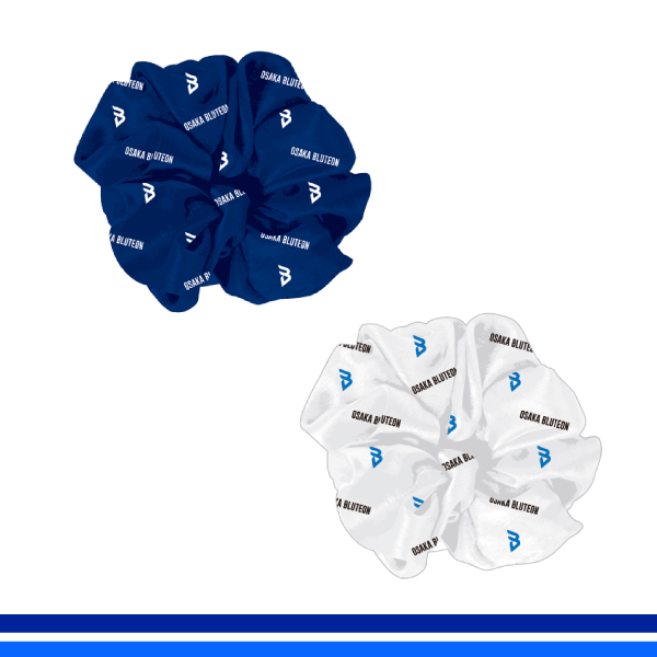 大阪ブルテオン オフィシャルオンラインショップ / 2024-25 大阪