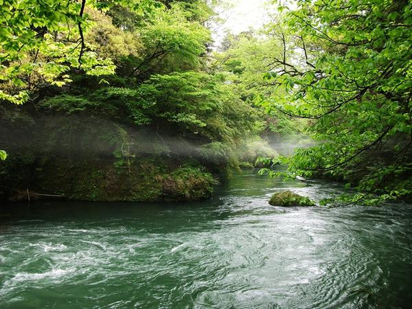 鶴仙渓 | 石川 加賀 おすすめの人気観光・お出かけスポット - Yahoo