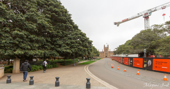 シドニー・アート巡り「シドニー大学グラフィティ・トンネル（SYDNEY