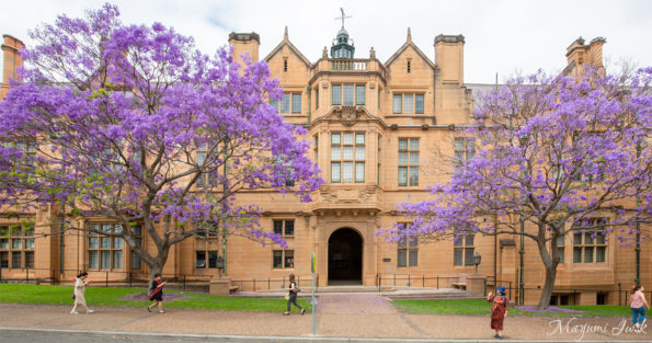 シドニー・アート巡り「シドニー大学グラフィティ・トンネル（SYDNEY